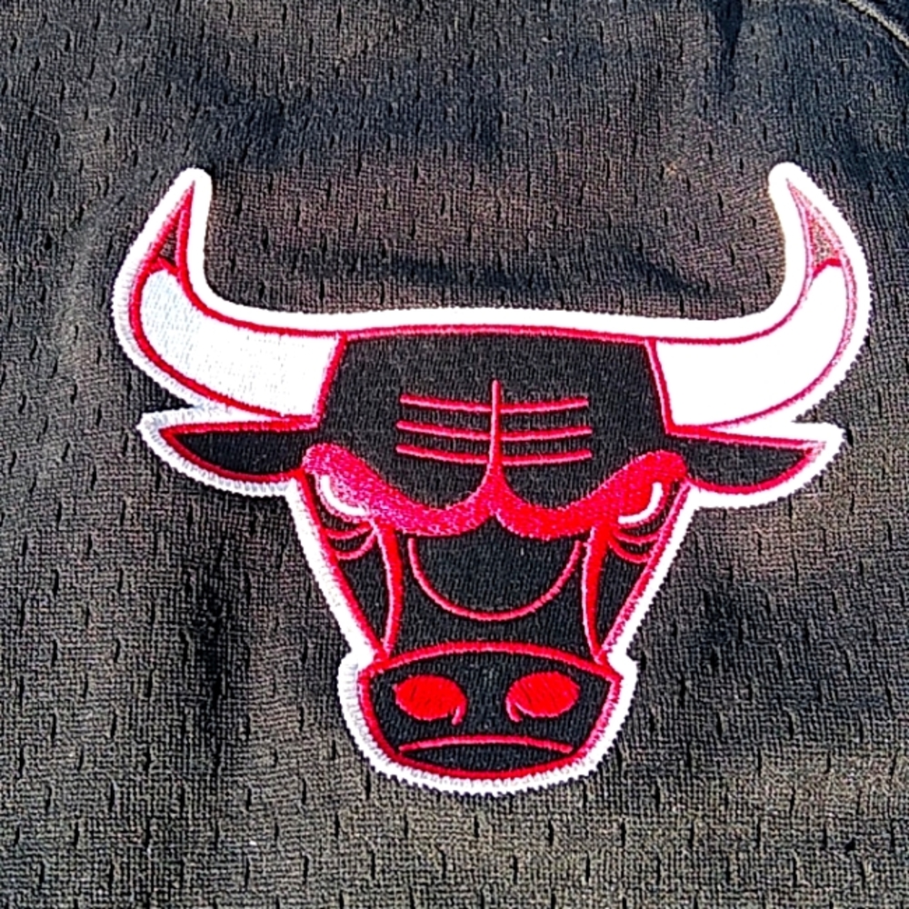 NBA Chicago Bulls Jersey by Mitchell and Ness XL